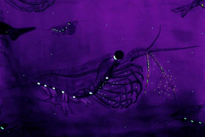 1685586411613246.png img_04.png