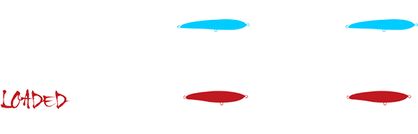 诱饵运动的图像